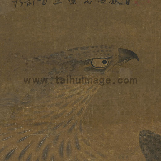 佚名 画鹰图