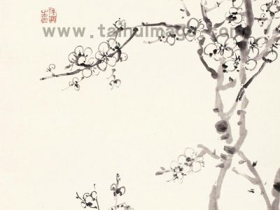 吴昌硕 墨梅