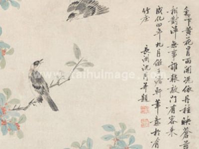 沈周 黄菊丹桂图