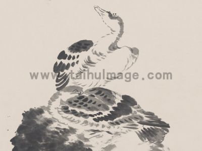 朱耷 鹅兰图