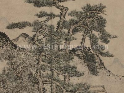 王蒙 在松树下读书