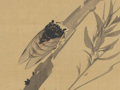 ​​​​​​​寒蝉抱叶图