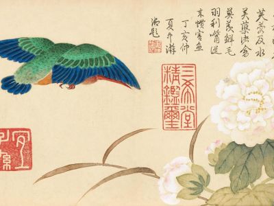 邹一桂 花鸟册