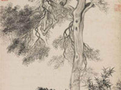 恽寿平 禹穴古柏图